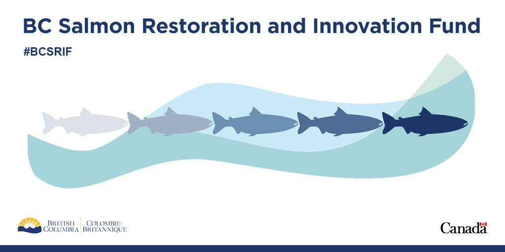 BC Salmon Restoration and Innovation Fund