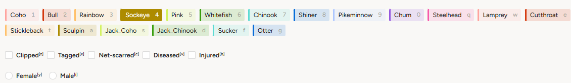 Class overview with subclasses